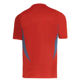 Camisa do Cruzeiro 2024/25 – Treino