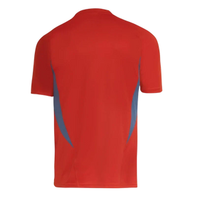 Camisa do Cruzeiro 2024/25 – Treino